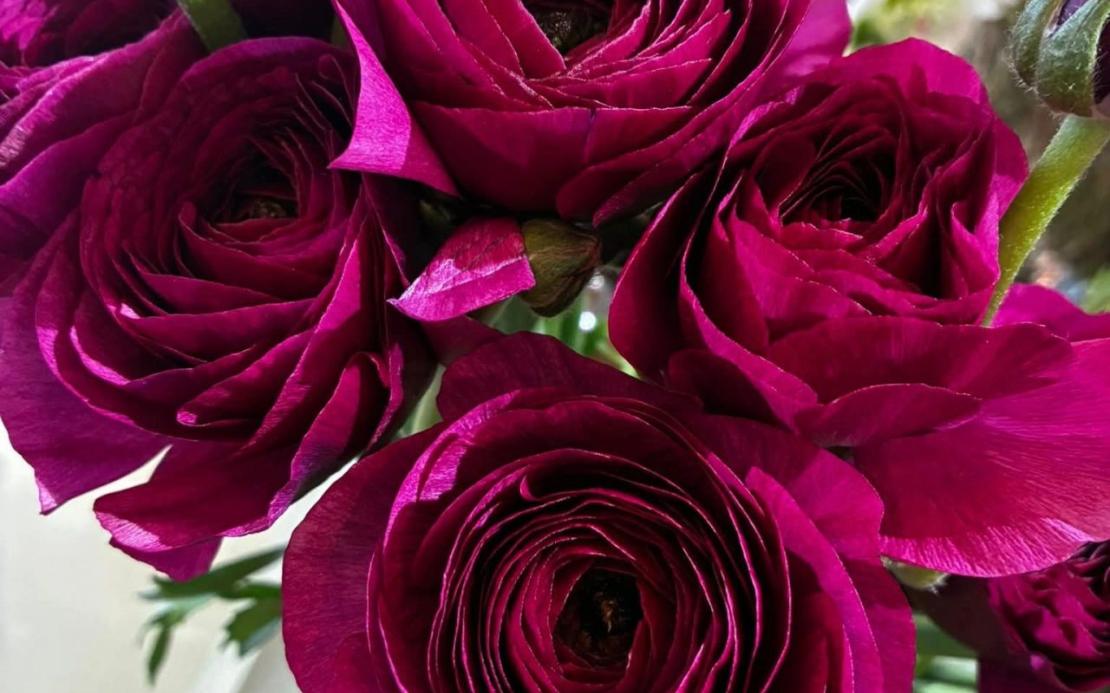 Visites entreprise aube 24 02 2026