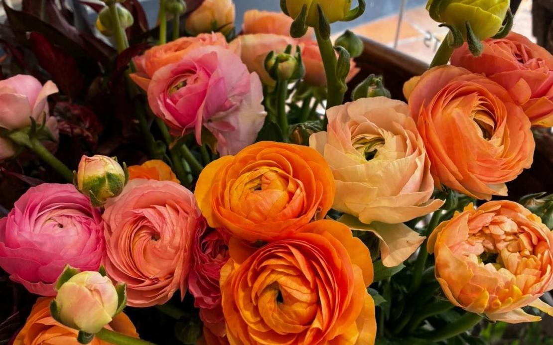 Visites entreprise aube 24 02 2026