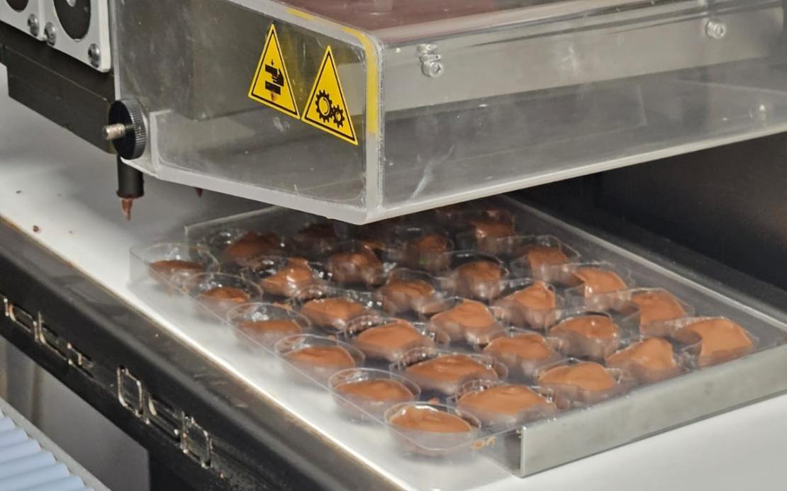 visites d'entreprises