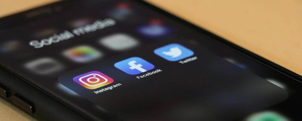 Smartphone sur son écran d'accueil affichant des applications de réseaux sociaux