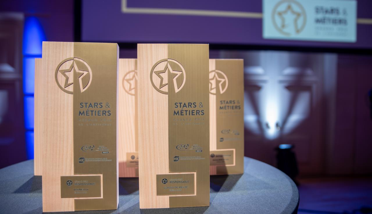 Cérémonie BPALC CMA GE - Stars et Métiers 7