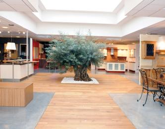 showroom-remilly-1.jpg