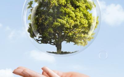 protection de l'environnement