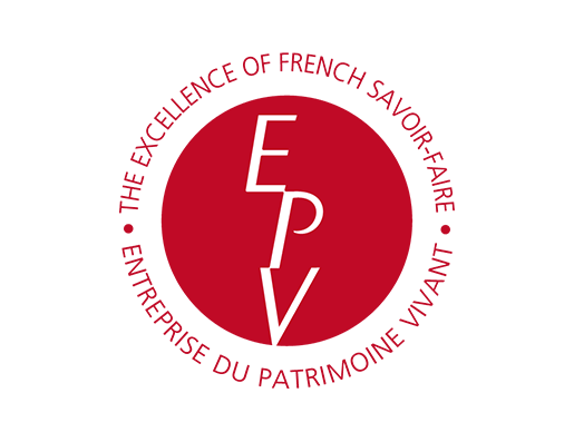 logo epv