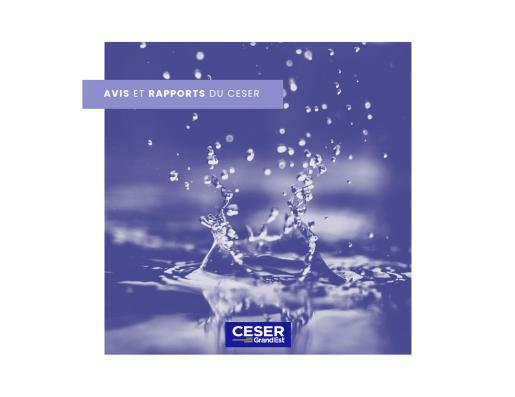 avis ceser grand est