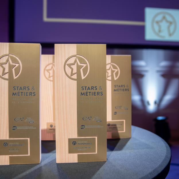 Cérémonie BPALC CMA GE - Stars et Métiers 7